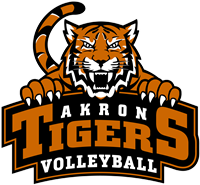 Volleyball Logo
