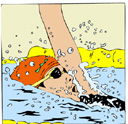 swimmer 